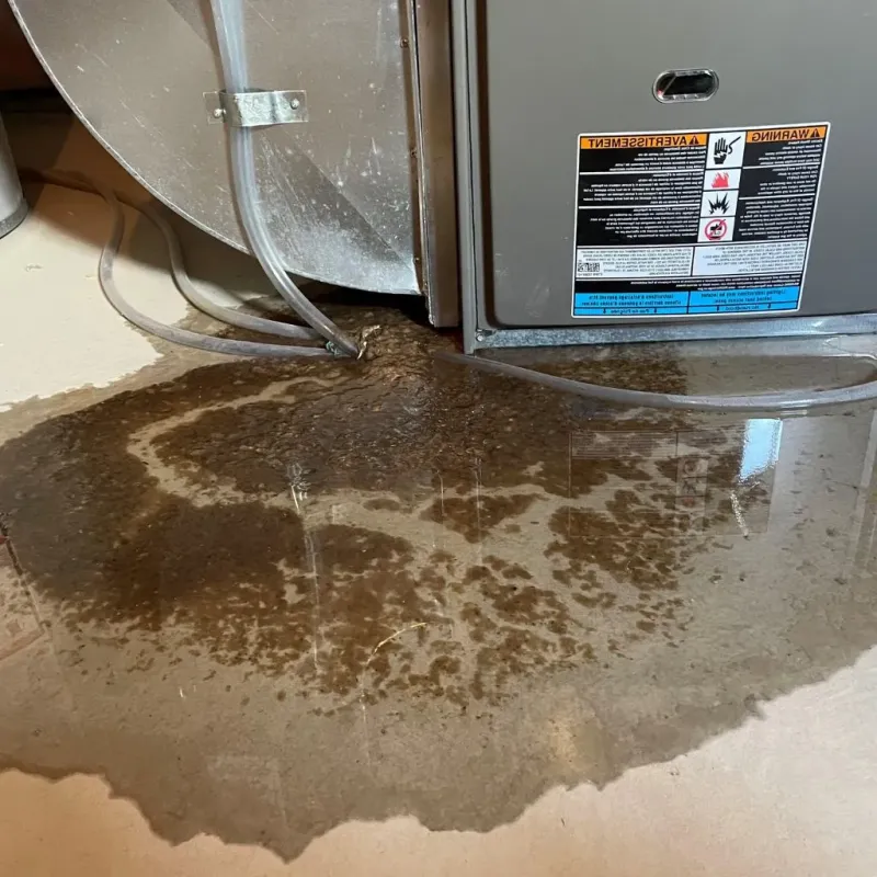 Pipe Burst and Leak Restoration in Medina County, OH