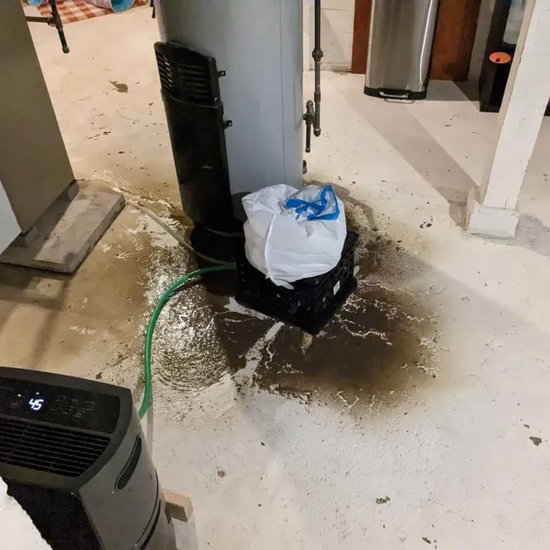 Sewage Backup Cleanup Service in Medina County, OH